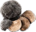 truffles